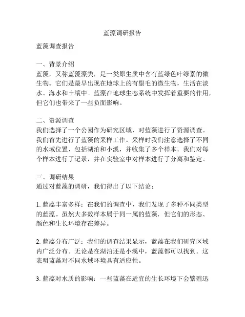 蓝藻调研报告
