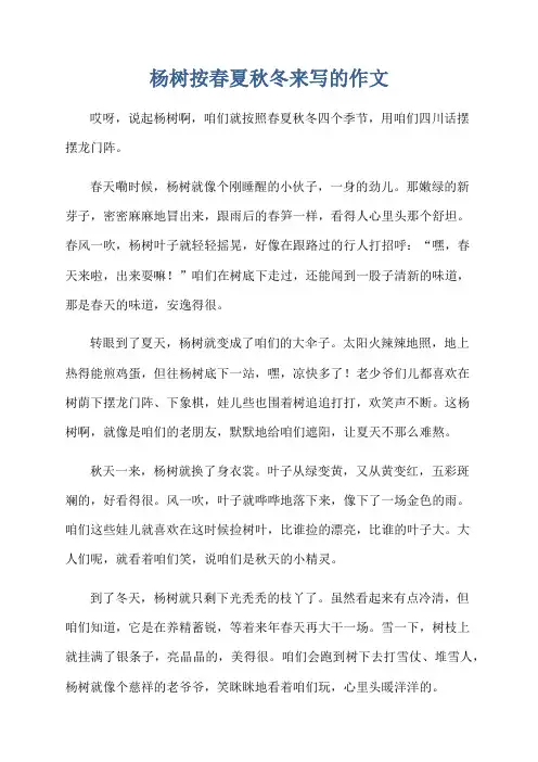 杨树按春夏秋冬来写的作文