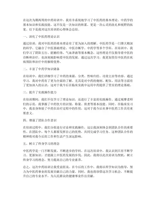 中药培训总结心得体会范文