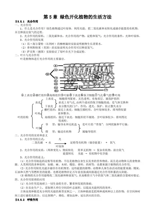 北师大版生物-七年级上册 绿色开花植物的生活方式 复习教案