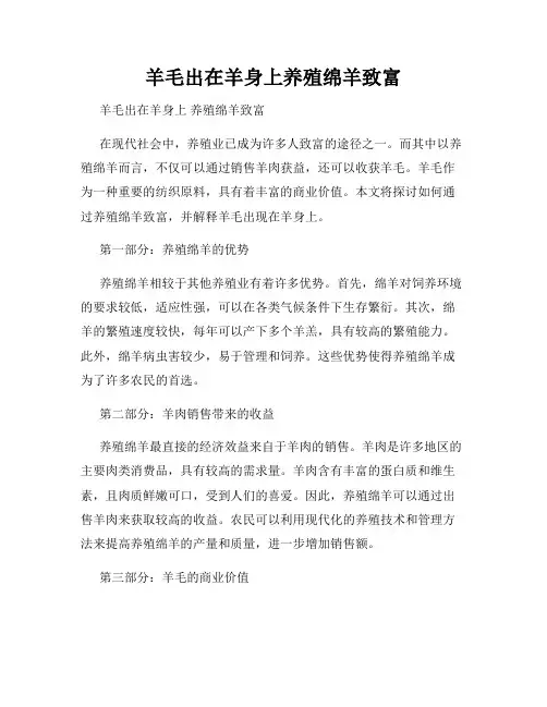羊毛出在羊身上养殖绵羊致富