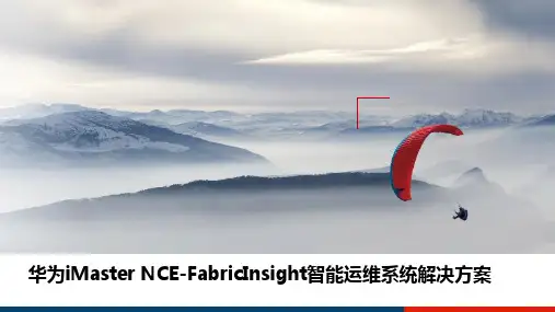 iMaster NCE-FabricInsight智能运维系统解决方案