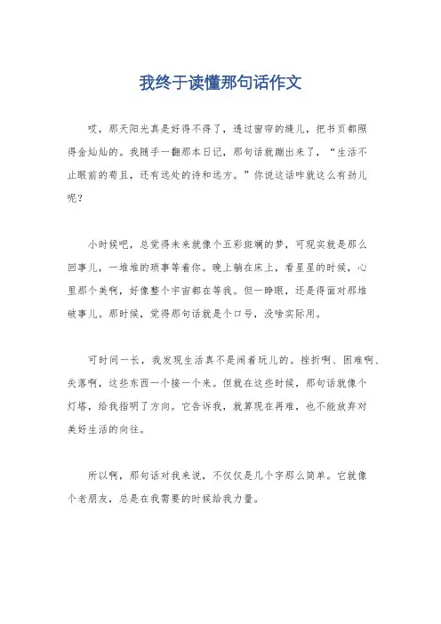 我终于读懂那句话作文