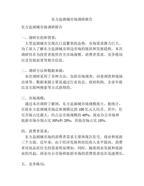 东方盐湖城市场调研报告