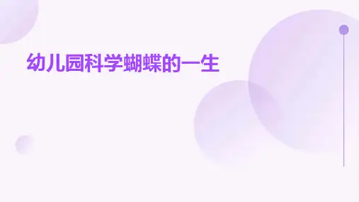 幼儿园科学：蝴蝶的一生