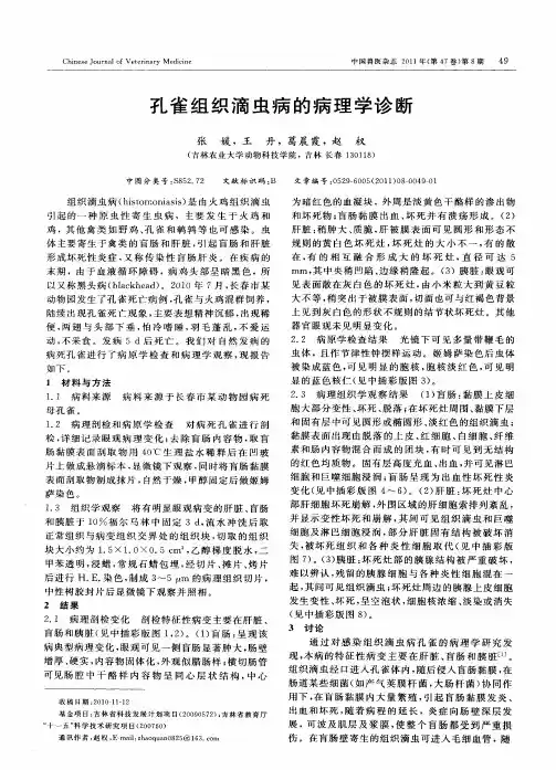 孔雀组织滴虫病的病理学诊断