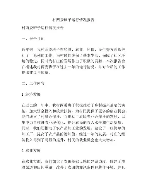 村两委班子运行情况报告