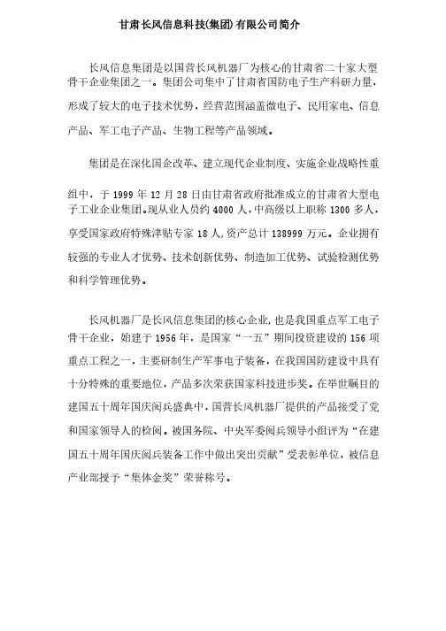 甘肃长风信息科技（集团）有限公司简介