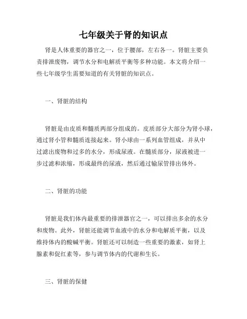 七年级关于肾的知识点