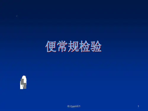 便常规ppt课件