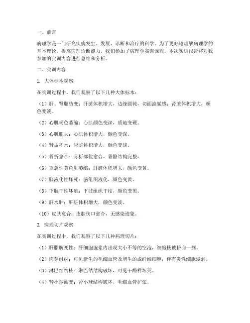 病理学实训作业报告