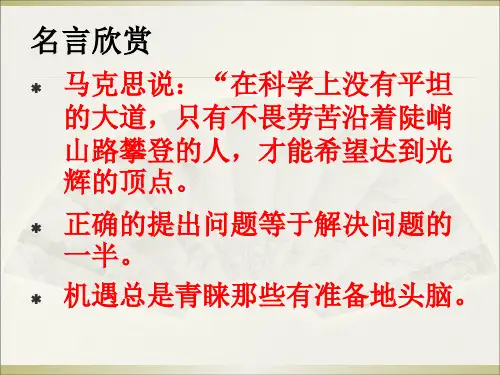 4.1划时代的发现(精华版)