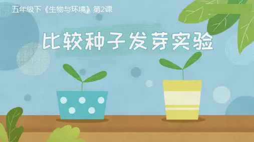 教科版五年级科学下册《比较种子发芽实验》PPT课件,共11页
