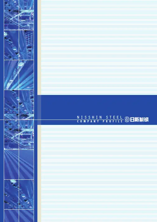 日新制钢简介