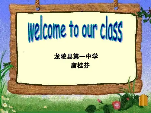 名词性从句讲解(1) (1)(1)(1)