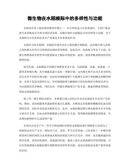 微生物在水稻根际中的多样性与功能