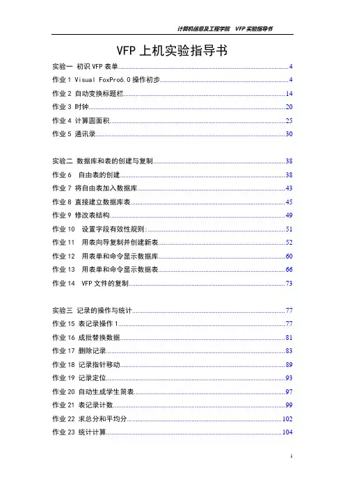 VFP实验指导全书09版