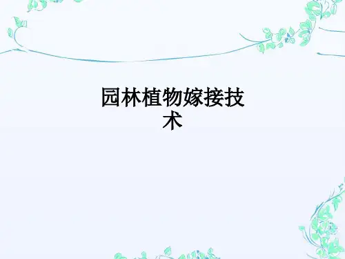 园林植物嫁接技术ppt课件