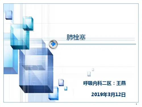 肺栓塞最新版PPT课件