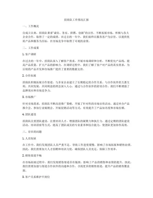 招商队工作情况汇报