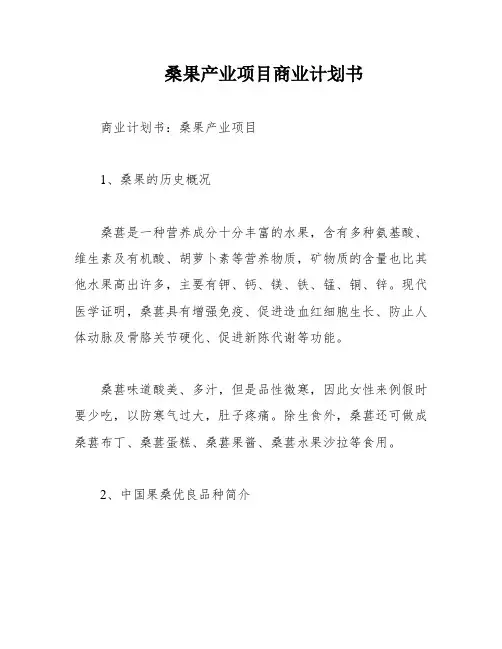 桑果产业项目商业计划书