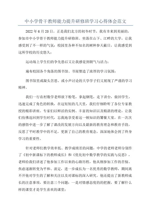 中小学骨干教师能力提升研修班学习心得体会范文