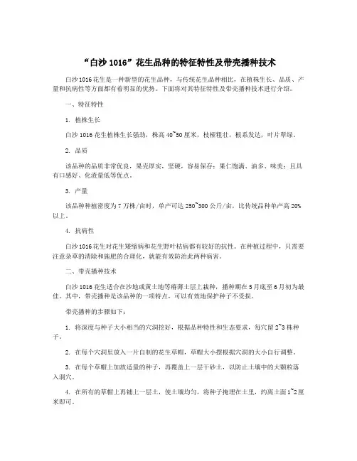 “白沙1016”花生品种的特征特性及带壳播种技术