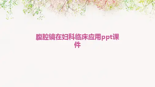 腹腔镜在妇科临床应用PPT课件