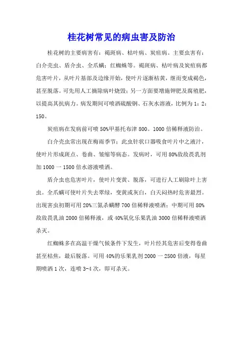 桂花树常见的病虫害及防治