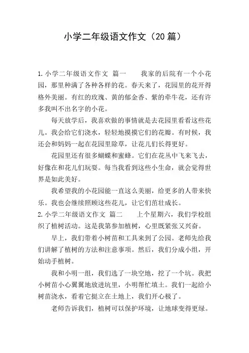 小学二年级语文作文(20篇)