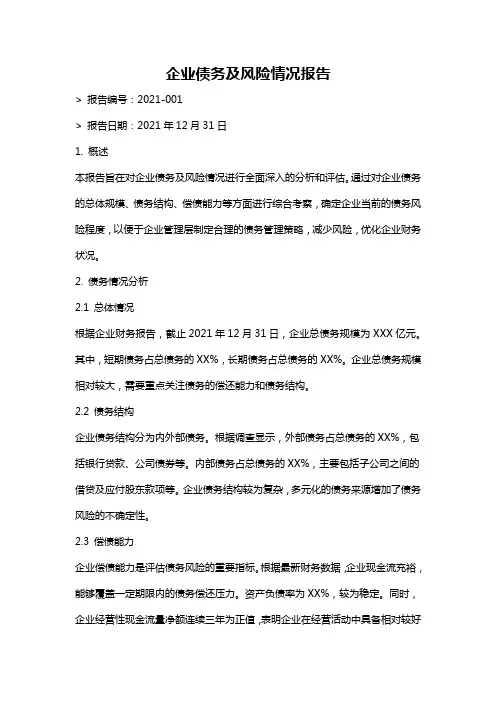 企业债务及风险情况报告