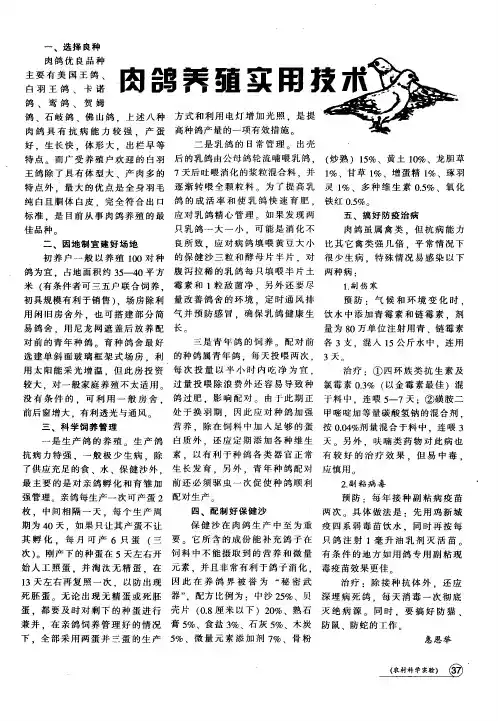肉鸽养殖实用技术