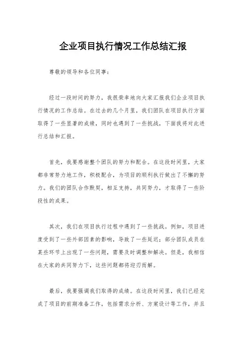 企业项目执行情况工作总结汇报