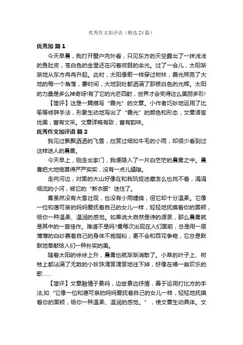优秀作文加评语（精选24篇）