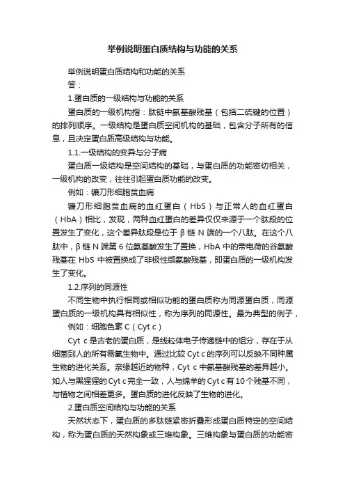 举例说明蛋白质结构与功能的关系
