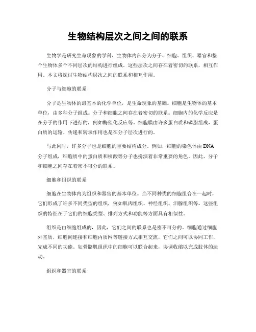 生物结构层次之间之间的联系