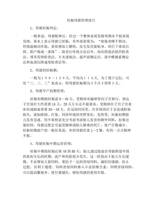 妊娠母猪管理技巧