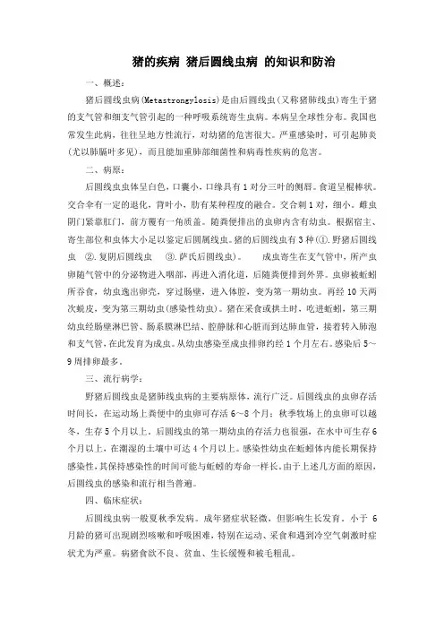 猪的疾病 猪后圆线虫病 的知识和防治