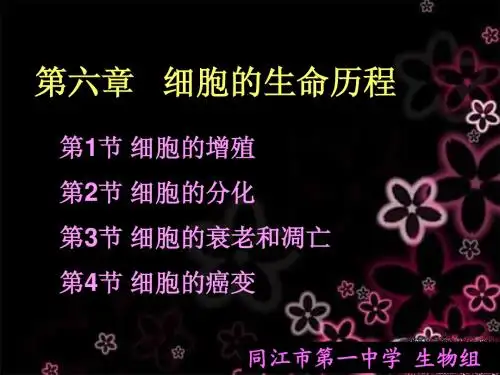 细胞的癌变!