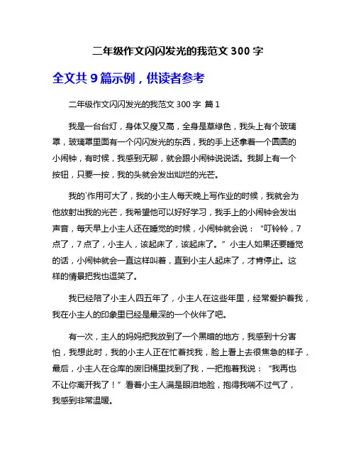 二年级作文闪闪发光的我范文300字