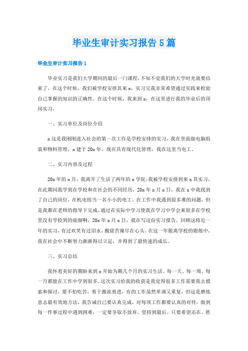 毕业生审计实习报告5篇