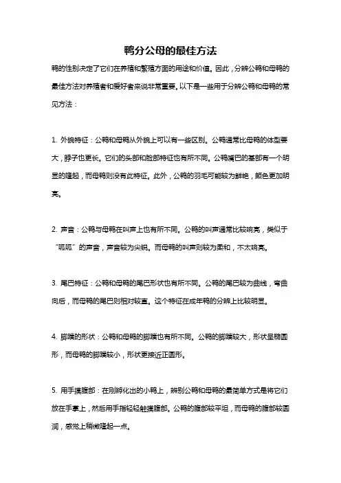 鸭分公母的最佳方法