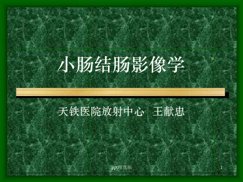 CT学习——小肠结肠影像学ppt课件