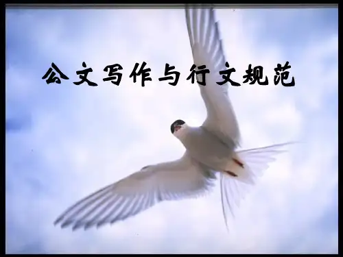 公文写作规范大全ppt课件