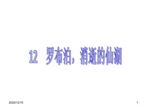 罗布泊,消逝的仙湖PPT教学课件