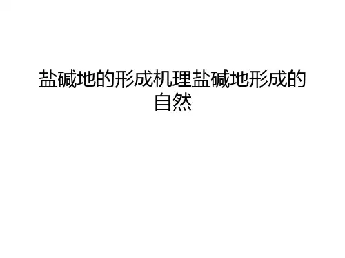 盐碱地的形成机理盐碱地形成的自然备课讲稿