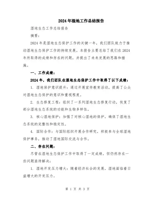 2024年湿地工作总结报告