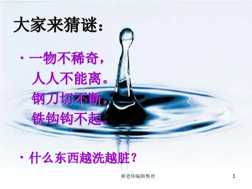 青岛小学科学三上《14 认识水》PPT课件 (5)