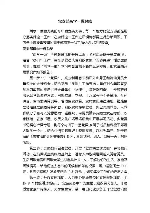 党支部两学一做总结