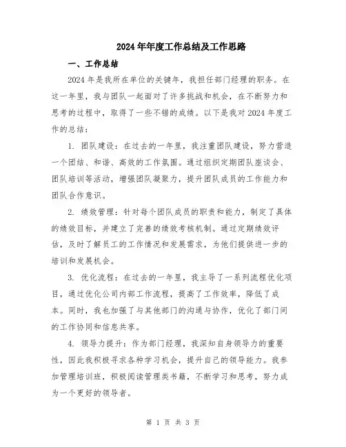 2024年年度工作总结及工作思路